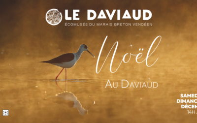 Noël au Daviaud